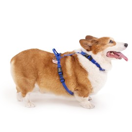 LufeLux Non Restrictive Dog Harness, Easy Walk Freedom No Pull Harness, Keep Balance, Neck Buckle, 2 Leash Clips for Back/Front Clip, Sewn-in Instructions Labels for Easy Put On/Off (Blue, X-Small)