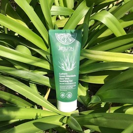 LifeEroom Partner How to use Jeju Aloe Soothing Gel Aloe Vera Summer Body Lotion Aloe Gel 200ml / 제주 알로에 수딩젤 사용법 알로에베라 여름 바디 로션 알로에젤 200ml