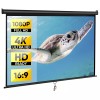 SEGAWE 80" 16:9 Projection Projector Screen Manual Pull Down Home