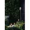Dehner Flame Solar Light Set of 4 Diameter 6.1 cm