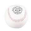 SOULONG Training Softball Practice Ball for PE & Batting Skills