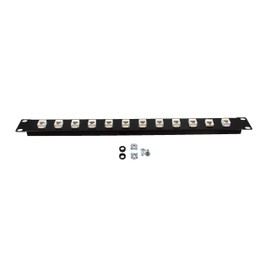 NavePoint 1U (1.75") 19 Inch Panel with 12 Cat6 Mini-Couplers