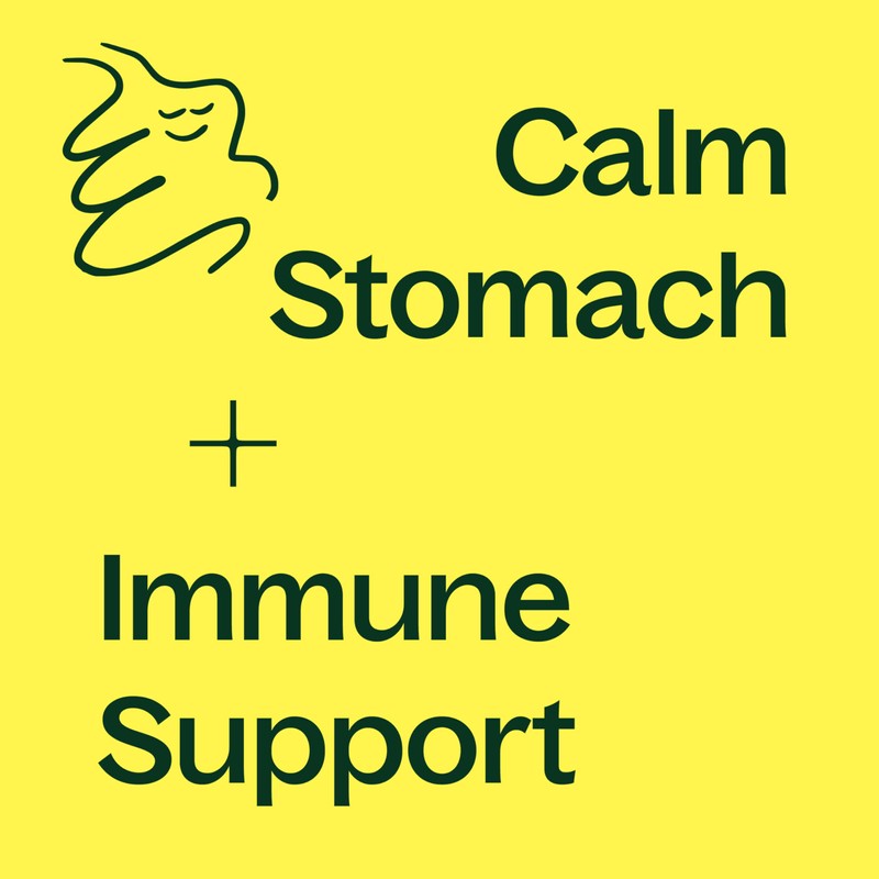 Plant Therapy Ginger Root Herbal Supplement Capsules, Calms Upset Stomachs,