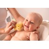 Rotho Babydesign Mediterranean Sponge, Natural Product, Diameter: 9-10 cm, Yellow