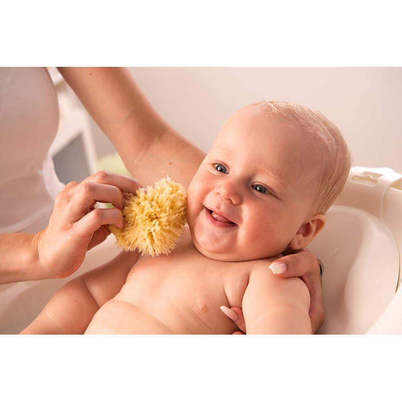 Rotho Babydesign Mediterranean Sponge, Natural Product, Diameter: 9-10 cm, Yellow