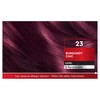 Schwarzkopf Brilliance, Permanent Hair Colour, 23 Burgundy Chic