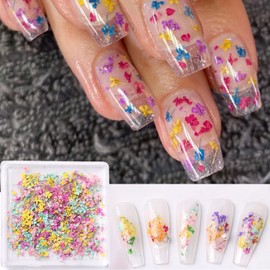 3D Dried Flowers Nail Art Stickers Natural Floral Decals for Nails Design Colorful Mini Dry Flowers Nail Art Supplies Dried Flower Nail Decoration Sticker for Women Manicure Decor DIY Accessories 1Box