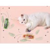SHXMWINSY Cat Interactive Teaser Toys 2PCS Electric Moving Beetle Mini