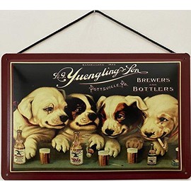 Blechschild With cord 30 x 20 cm D.G.Yuengling & Son - Brewers and Bottlers - Blechemma