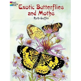 Exotic Butterflies and Moths Coloring Book