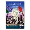 ILLINOIS MAP postcard set of 20 identical postcards. WI state