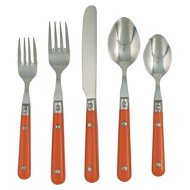 Ginkgo International Le Prix 5-Piece Stainless Steel Flatware Place Setting, Persimmon, Service for One