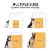 Waterproof Pet Blanket, Liquid Pee Proof Dog Blanket for Sofa