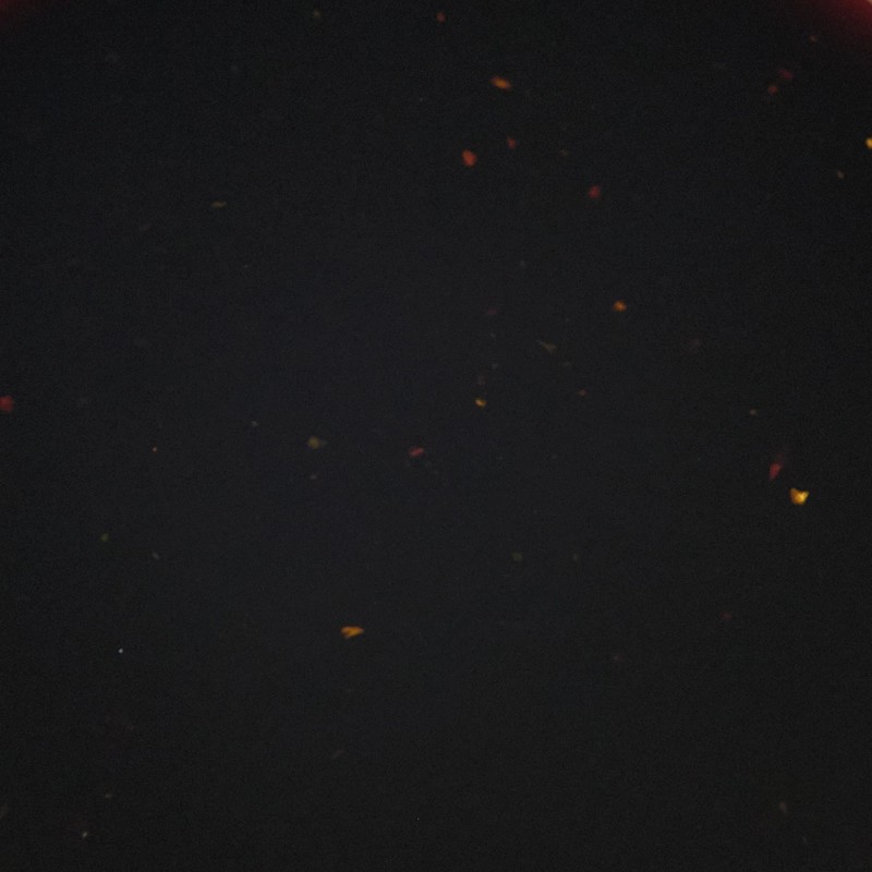 Zatarain's Cajun Injector Marinade Sauce 16oz Tenderizer for Beef Pork