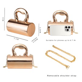 BagHeiyy Gold Purse, Clutch Purses for Women, Acrylic Clutch Y2k Purse Satchel Crossbody Bags Women's Evening Parties Handbag (champagne)