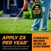 Ortho WeedClear Lawn Weed Killer Ready-to-Use, Refill, Kills Crabgrass, Dandelion