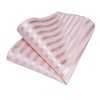 DiBanGu Men's Tie Set Silk Striped Checked Tie with Pocket
