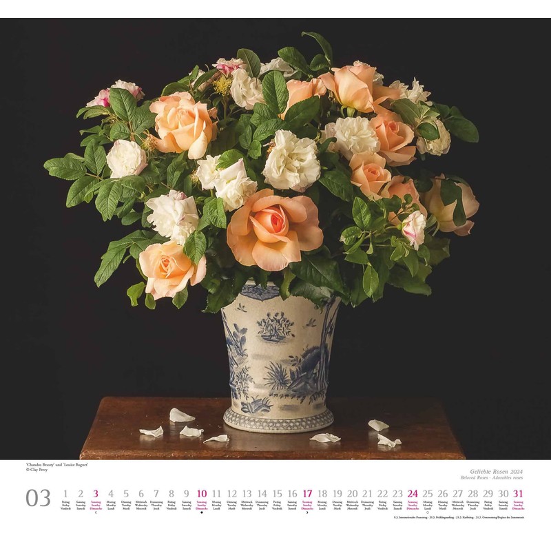 Kal. 2024 ...geliebte Rosen