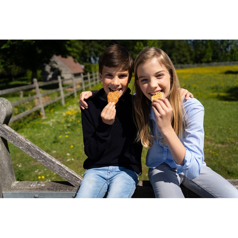 Jules Destrooper Butter Crisps 100g