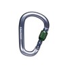 Black Diamond Pearlock Screwgate Carabiner, Gray