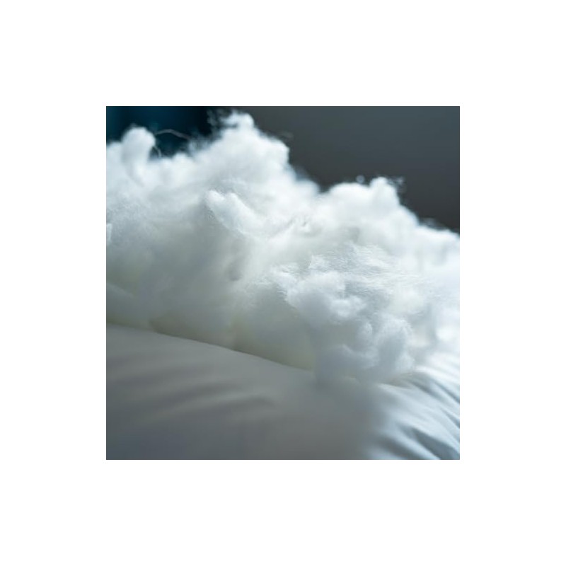 PILLOWS WITH A PURPOSE Down Alternative Microfiber Filled Inserts, (12"