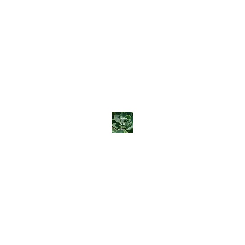 Uu ` 2pzs Gotas De Drenaje Linfático, Suplemento . Gg