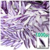 1,000pc Rhinestones Eye Shaped (Navette) 4x15mm Pastel Assortment