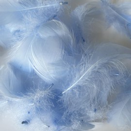 100pcs Tiny Goose Feather Fluffy Feathers for Crafts Dream Catcher Wedding Home Party Decorations Earrings Making (Light Sky Blue 2-3Inch)