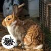 Shoyisenka 40 Pcs Rabbit Cage Fixed Side Buckle, Cage Fastening