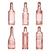 BULK PARADISE Assorted Reddish Glass Bottles with Corks, 6 Pack,