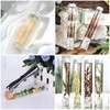 VEGCOO Plastic Test Tubes Sensory Bottle 110ml Clear Plastic Tube