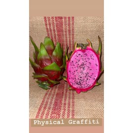 Oax Dragon Fruit Farm Physical Graffiti Dragon Fruit Cuttings