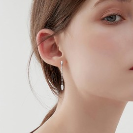 PHNIBIRD Long Earrings Hanging Silver 925 with Cubic Zirconia Elegant Leaf Drop Dangle Long Earrings for Wedding & Evening Events Valentine's Day Earrings Gift for Women, Sterling Silver, silver