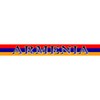 CafePress Armenia Armenian Flag License Plate Frame Chrome License Plate