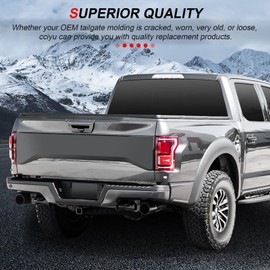 cciyu Fits for 2008-2018 for FORD F-250 F-350 F-450 F-550 Super Duty Tailgate Molding Cap Protector ABS Rear 02ETM1203ABK