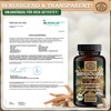 Ashwagandha KSM-66® Organic Important: 12:1 Extract (= 3600 mg Ashwagandha