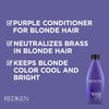 Redken Color Extend Conditioner 250 ml
