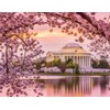 Noah Jigsaw Puzzle Washington, DC at The Tidal Basin and