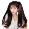 Cute Princess Ponytail Wig, 1 Piece, Inside Outfit, Long Extension,