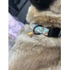 Adjustable Soft Polyester Dog Collar: Featuring a Cute and Adorable