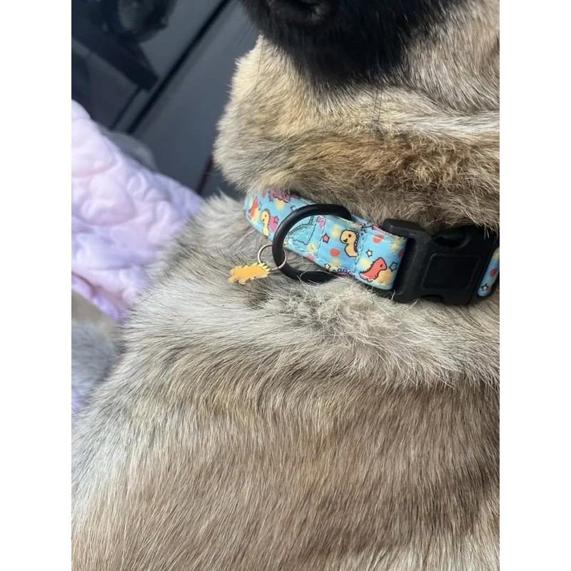 Adjustable Soft Polyester Dog Collar: Featuring a Cute and Adorable