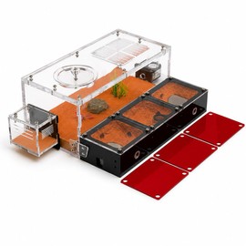 RIMSUNTA Terra Core Link - Expandable Ant Nest Formicarium with Activity Area, Modular Ant Farm Habitat for Horizontal Expansion, 3 Chamber Nest Modules
