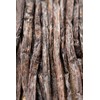 Biojoy Organic Vanilla Beans (Pack of 20), Bourbon Vanilla from