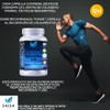Coenzima Q10 Resveratrol y Colágeno Marino 60 Cápsulas Antioxidante, Antienvejecimiento