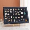Cyrank Pin Display Case, Dustproof Pin Display Case, Brooch, Collection,