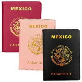 Funda para Pasaporte de Cuero Lumbor37 Protector Organizador de Documentos de Viaje Cartera para Pasaporte de Viaje Familiar para Hombres y Mujeres 3pcs (rojo + rosa + negro)