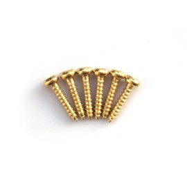 Guitar Anatomy Machine Head/String Tree/Truss Rod Screws Gold x6