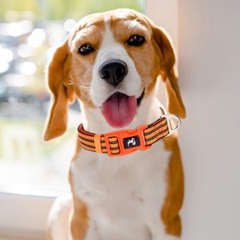 MAOWUWUJOZ Reflective Extra Large Dog Collars - Soft Padded, Adjustable Durable Pet Collar with Quick Release Buckle for Walking, Running, Night Safety -Orange XL