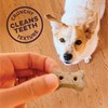 Old Mother Hubbard Wellness P-Nuttier Dog Biscuits, Natural, Training Treats,