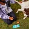 Wet Ones Toallitas antibacterianas para manos, 20 unidades (paquete de